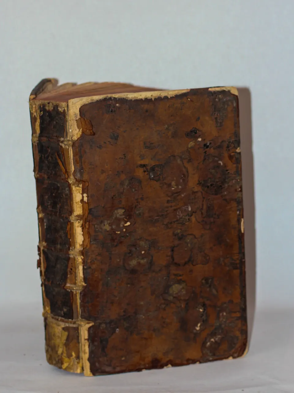 Las comedias de Plauto, 1577